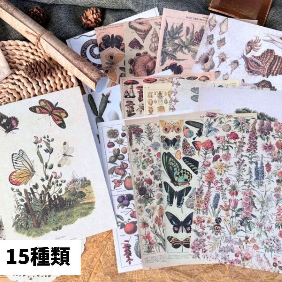 コラージュ素材 ジャンクジャーナル 紙モノ 自然 まとめ売り 大容量 A