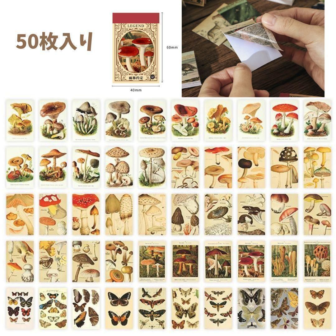 コラージュ素材 ジャンクジャーナル 紙モノ 自然 まとめ売り 大容量 A