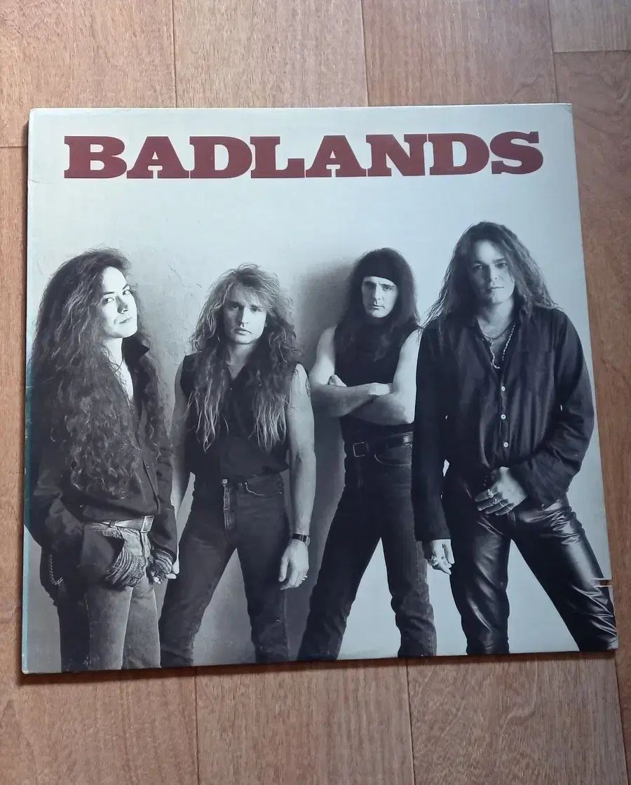 badlands lp 購入 収益クラス 2025年最新】Badland cdの人気アイテム