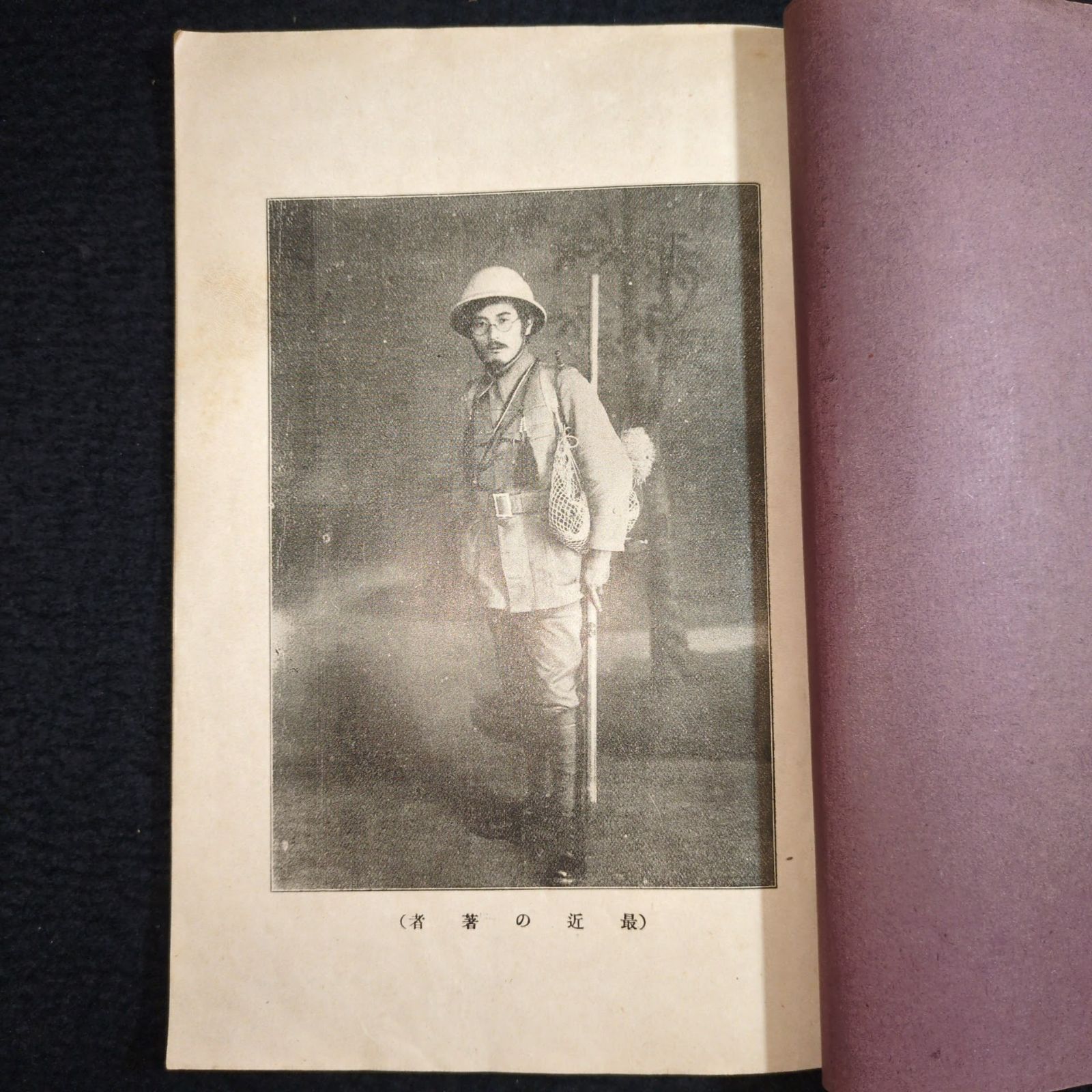 絵入◇郊外登山 趣味と薬草◇本草 漢方 薬学 草花 植物 民間療法 戦前