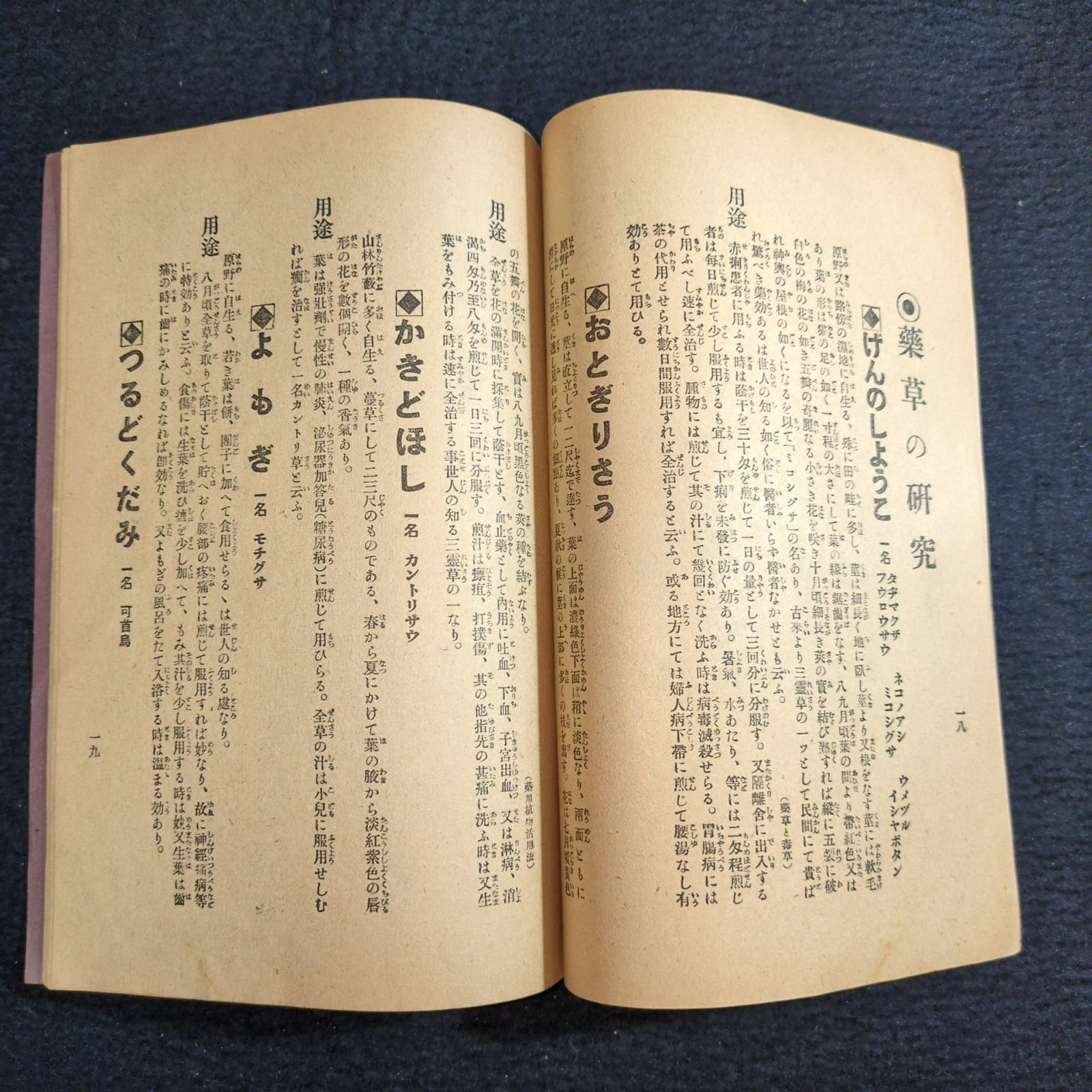 漢方　薬用植物読本　古雑誌 絵入◇郊外登山 趣味と薬草◇本草 漢方 薬学 草花 植物 民間療法 戦前