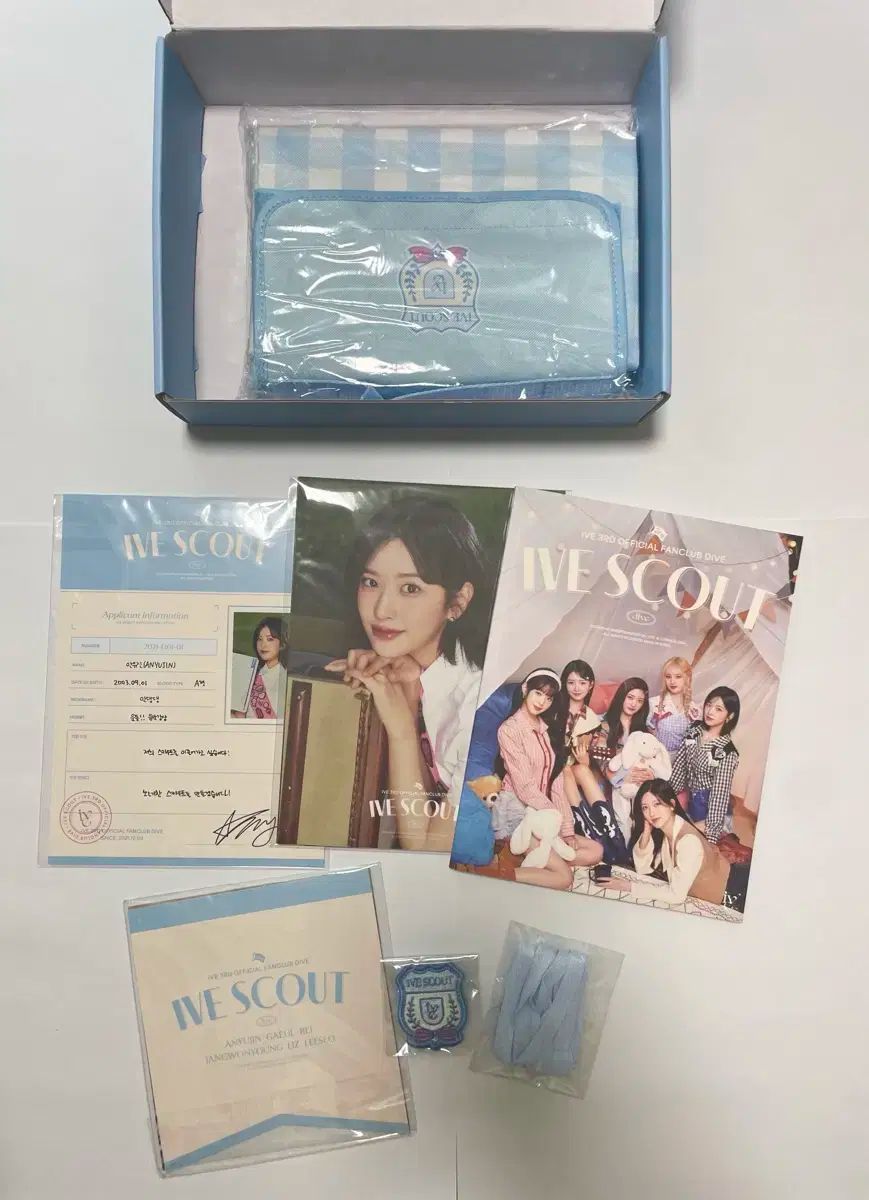 IVE 1期韓国 ファンクラブDIVE 入会特典キット : おもちゃ IVE ファン