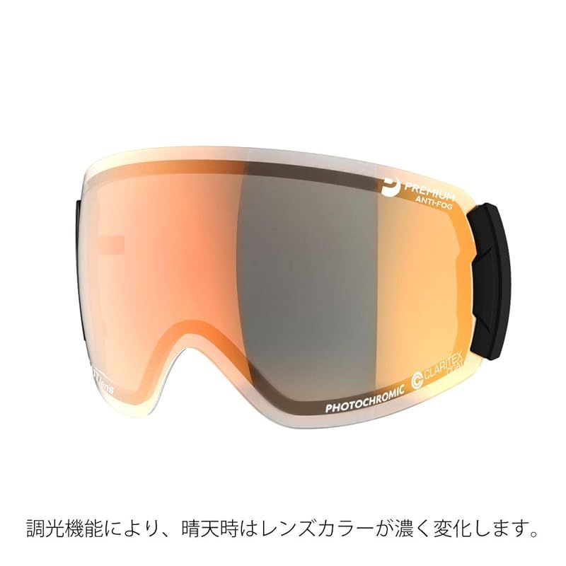 SWANS (スワンズ) スキー スノーボード ゴーグル スペアレンズ