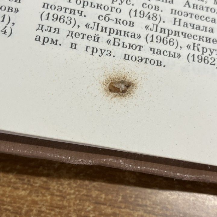 □01)【1点限り!】文学百科事典 ロシア語洋書 1～9巻の9冊セット