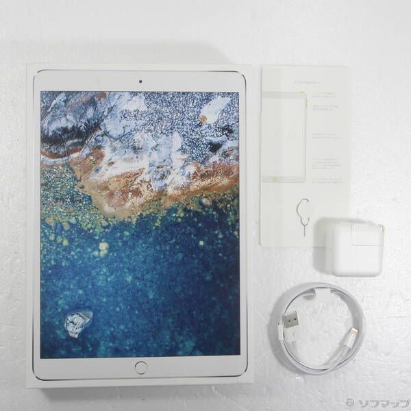 最も安い 〔品〕 iPad Pro 10.5インチ 256GB シルバー MPHH2J／A SIM