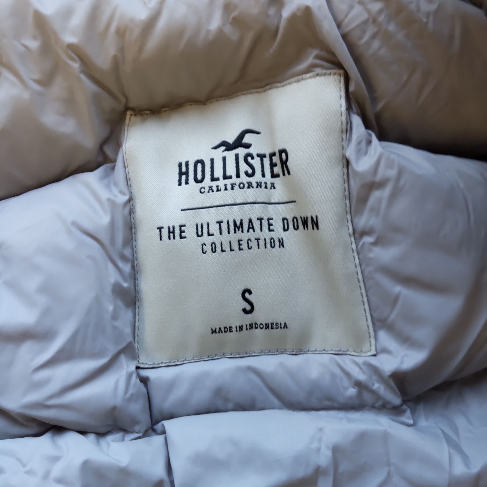 M11048 【HOLLISTER】 ホリスター フード付 ダウンジャケット アウター