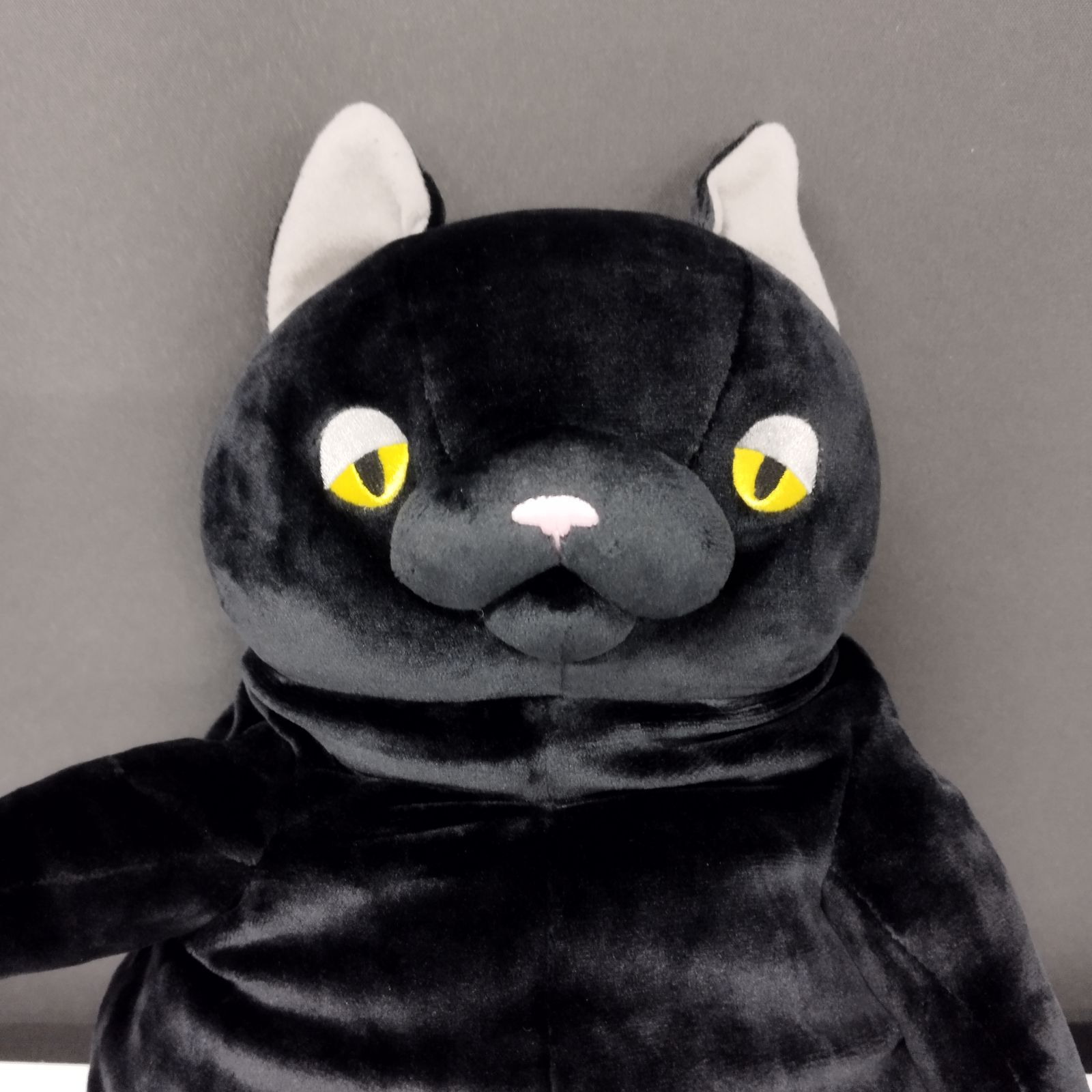 D25908】もちねこ クロ Lサイズ - メルカリ