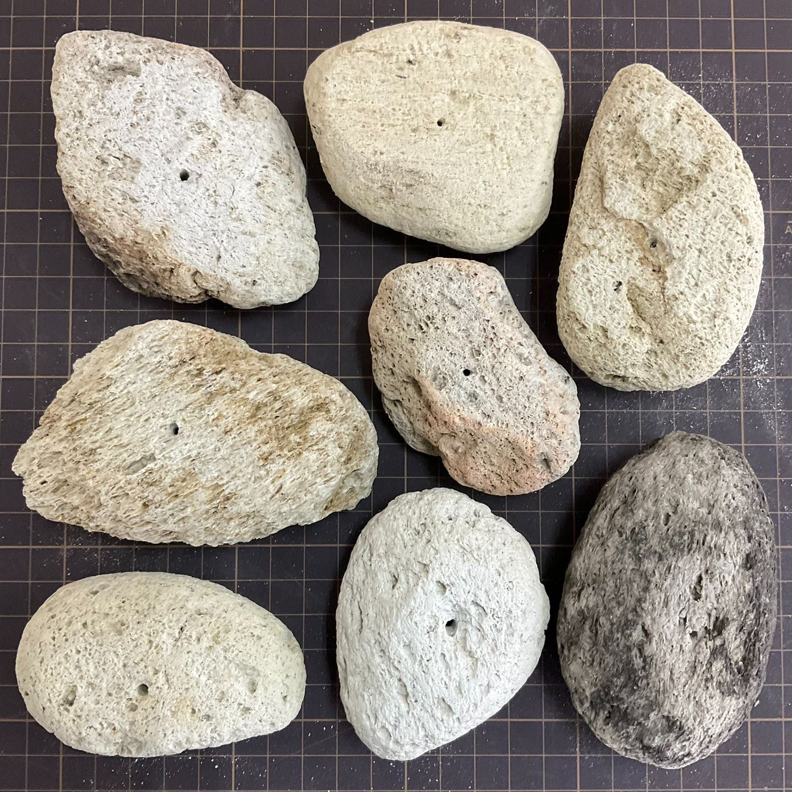 軽石 鉢 8個セット 自然形状 大量につき，大安売り 激安お買い得 軽石