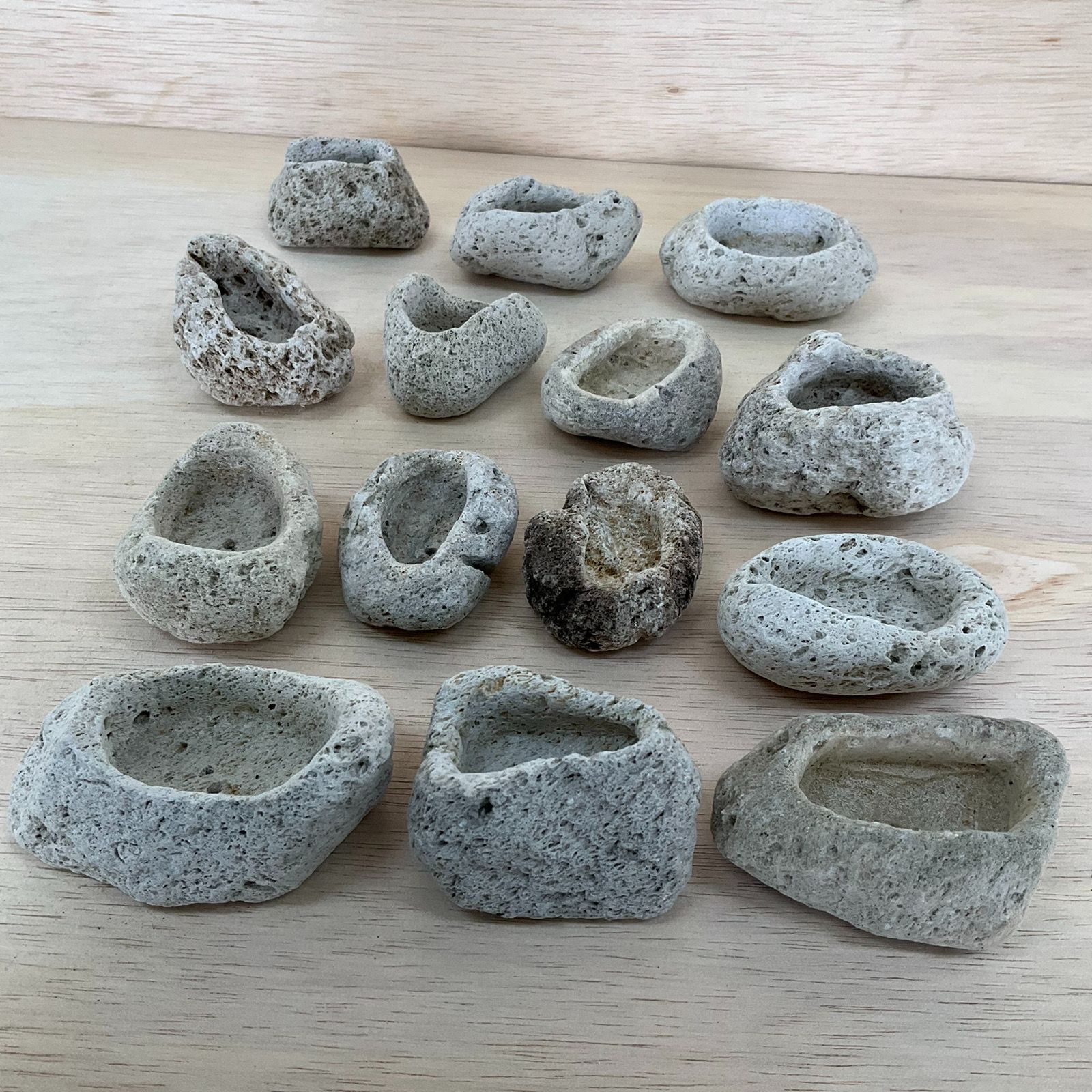 アイテラスの軽石鉢 14点セット｜軽量＆通気性抜群｜観葉植物や多肉