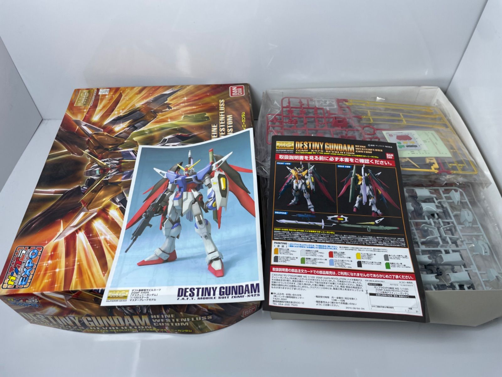 MG DESTINY GUNDAM (ライン・ウェステンフルス カスタム) DESTINY GUNDAM HEINE WESTENFLUSS CUSTOM ZGMF-X42S-REVOLUTION