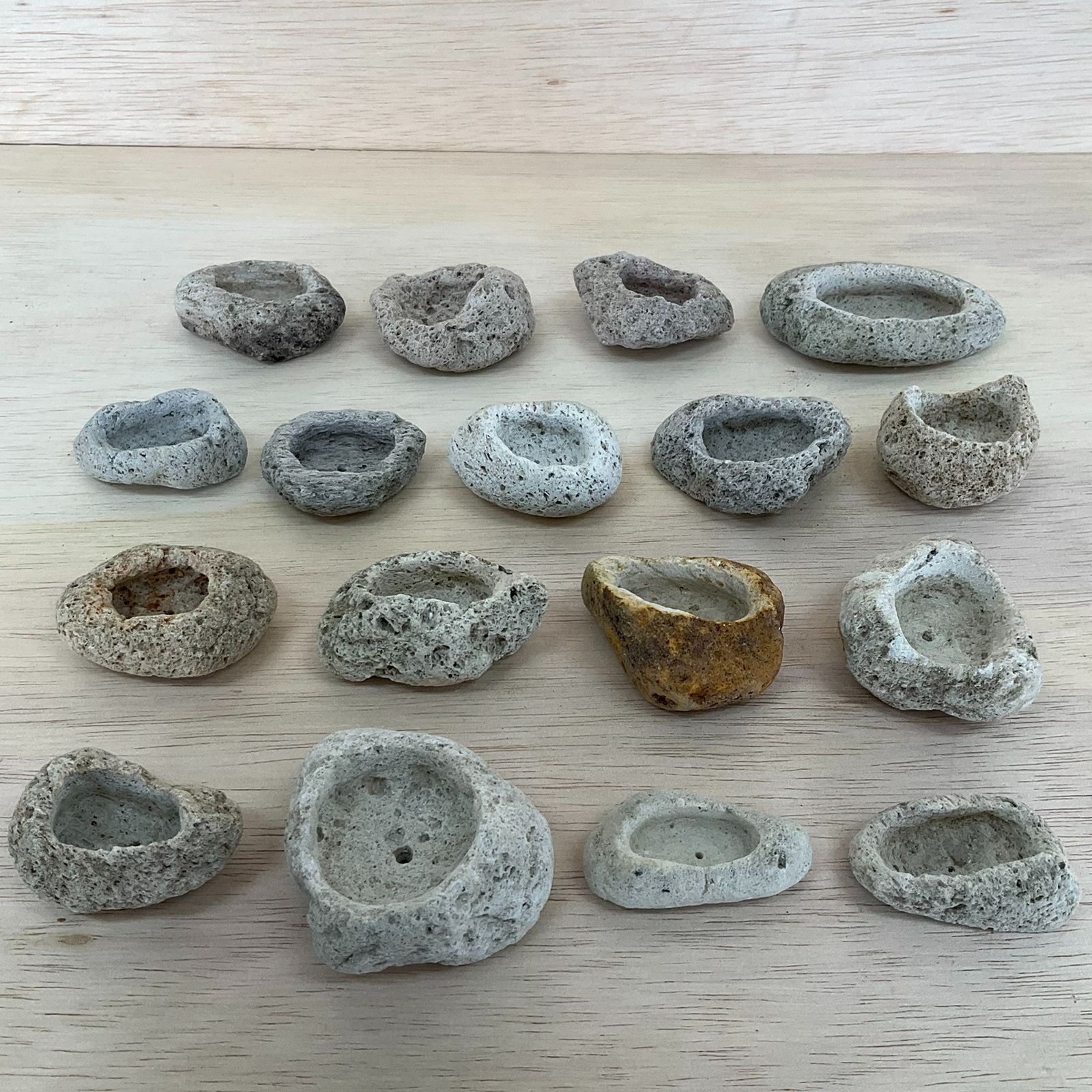 アイテラスの軽石鉢 17点セット｜軽量＆通気性抜群｜観葉植物や多肉