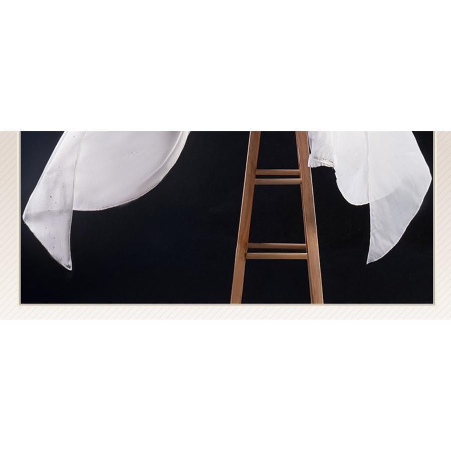 ヤヌス コスプレ