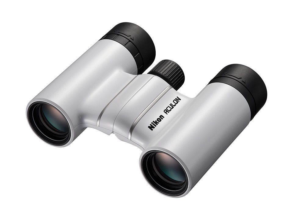 DVD／ラッセ・ハルストレム初期作品集 DVD-BOX