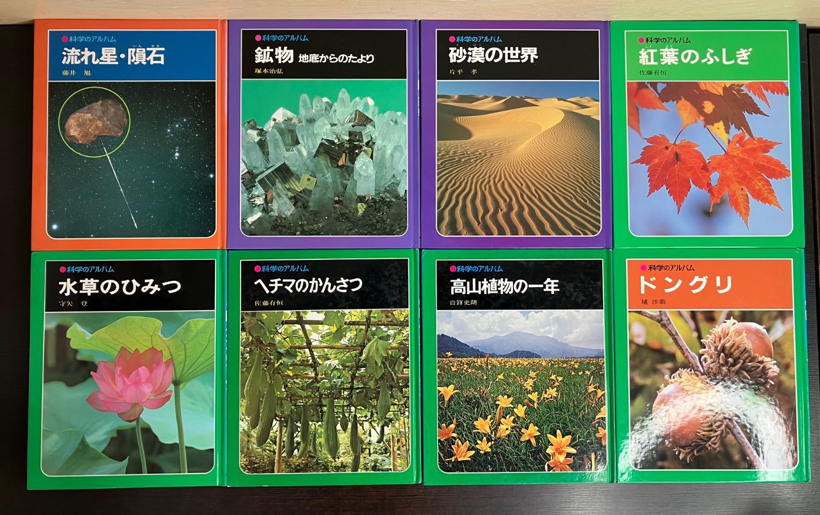 絵本 まとめて 幼稚園 保育園 50冊セット まとめ売り 読書 読み聞かせ