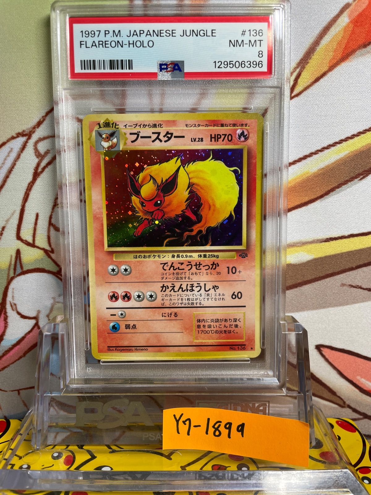PSA10 ブースター 旧裏 ジャングル 136 1997 ブースター(旧裏面) No.136 Rare Holo ARS鑑定Grade10 ポケモンカード