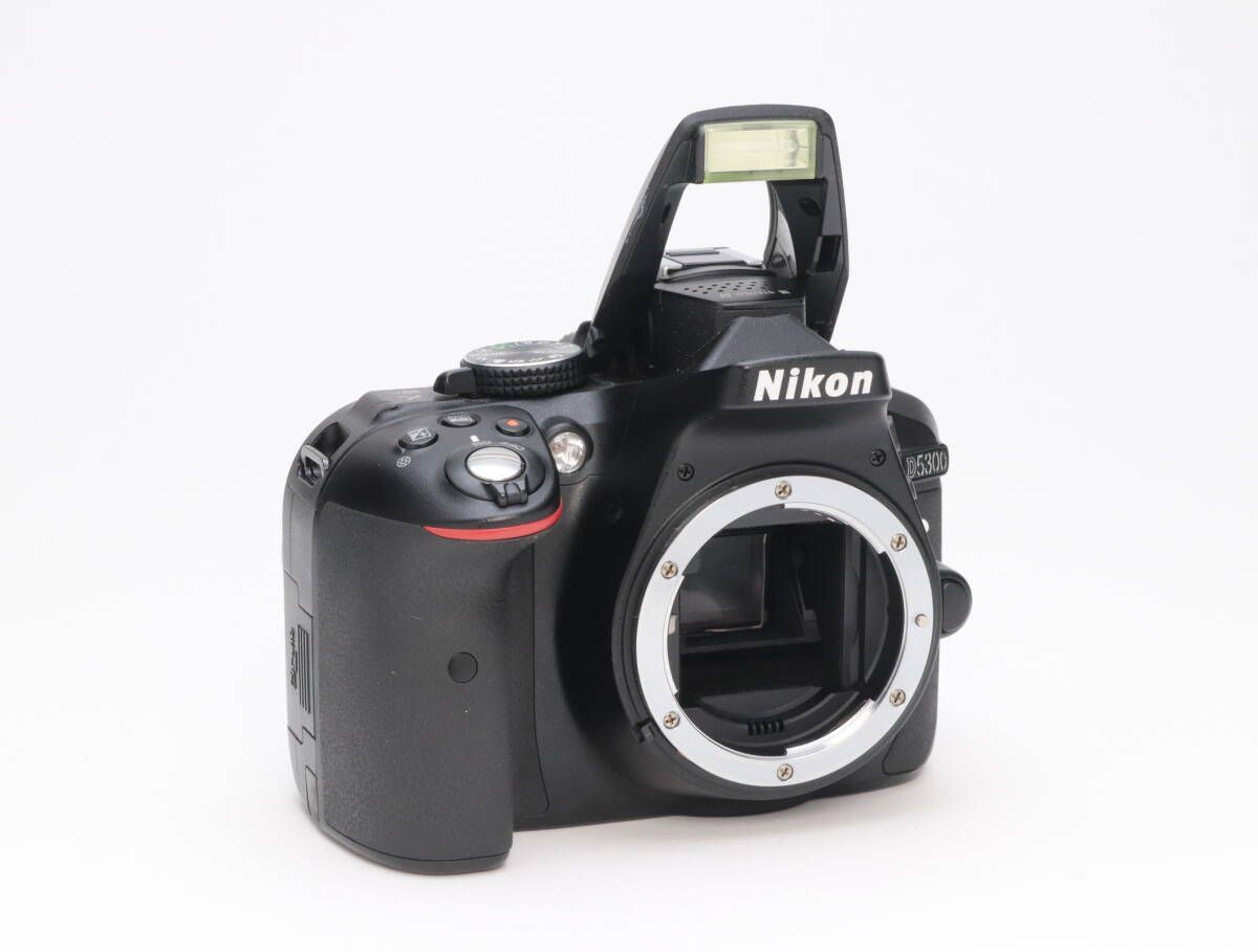 C (実用品) Nikon ニコン D5300 ブラック ボディ シャッター数 6,193枚