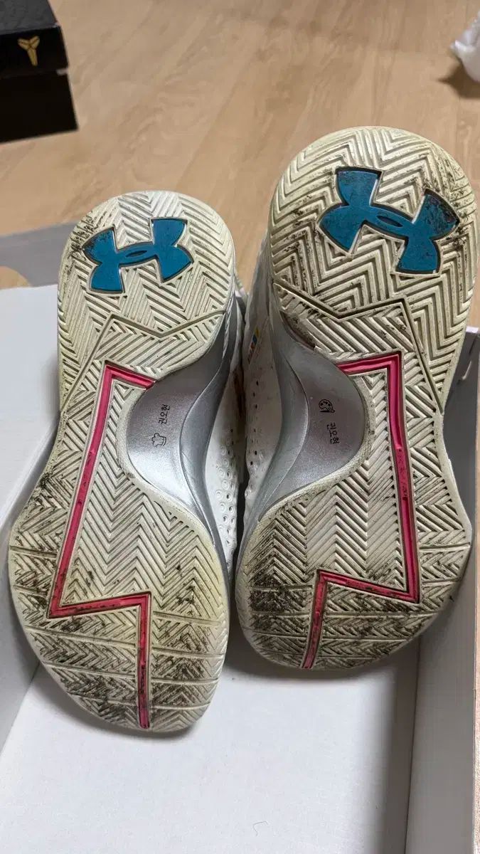 カリー1 注文 スプラッシュパーティー