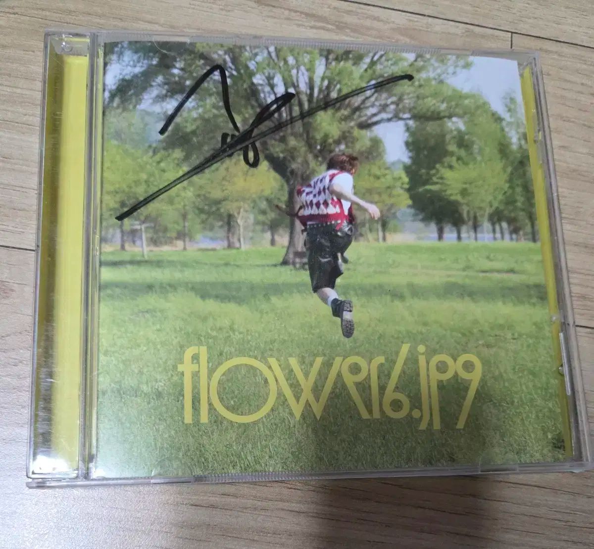 インディーズ歌手 grizzly サイン入り 非売品アルバム 2025年最新