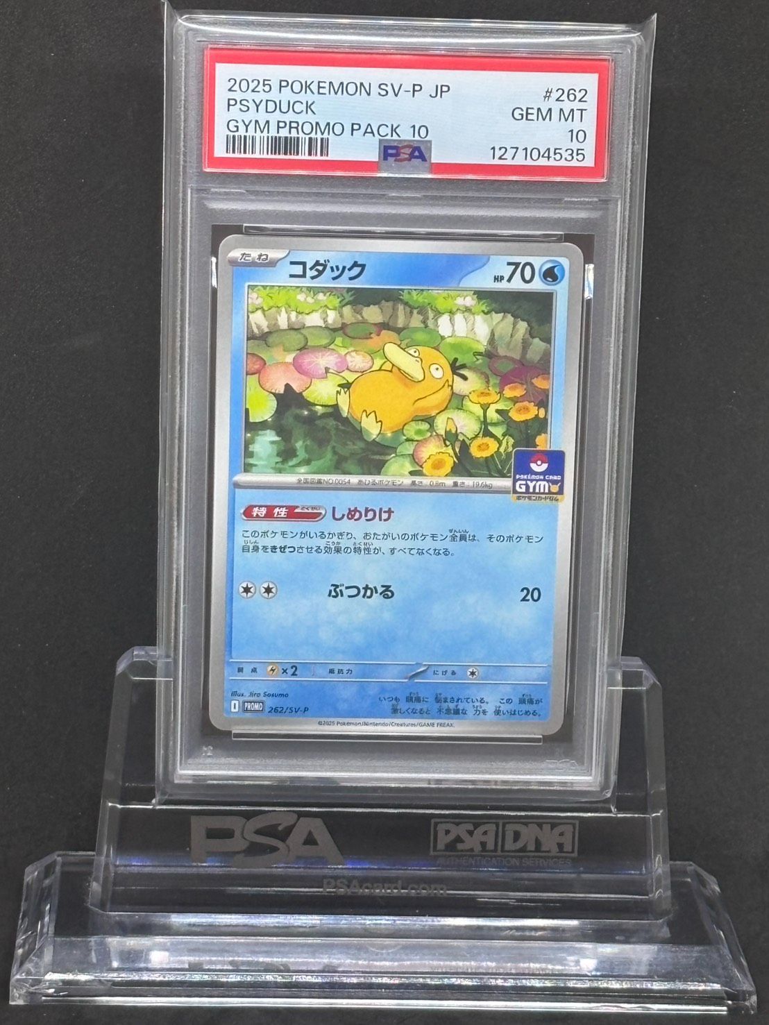 コダック プロモ【ジムプロモ】262/SV-P PSA10 - メルカリ