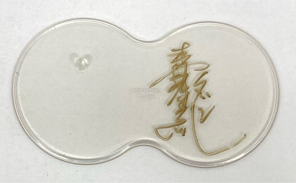 大怪獣シリーズ ウルトラセブン ストップ光線 Ver. エクスプラス 新品未使用 Amazon.co.jp: X-PLUS 大怪獣シリーズ「ウルトラセブン(ストップ光線版