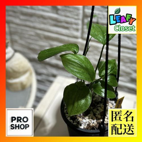 バッグ 076.【海さん専用商品】幅広スクエアバッグ 牛革 ブラック