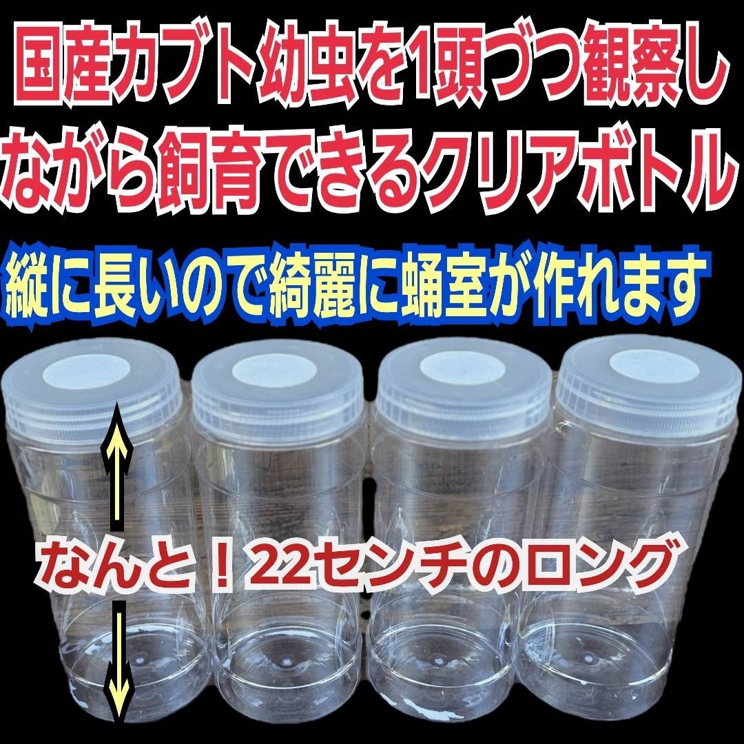 カブトムシ幼虫の1頭飼育専用クリアボトル国産カブトは縦に蛹室を作る
