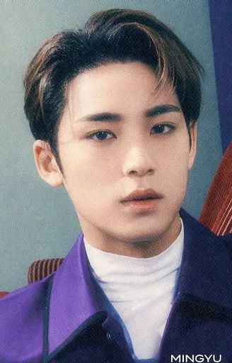 SEVENTEEN ひとりじゃない ミンギュ SEVENTEEN ひとりじゃない ミンギュ