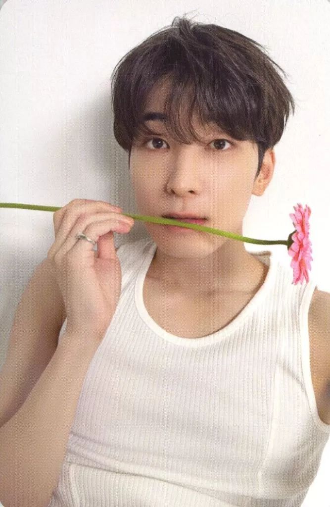 crrrページ ウォヌ グッズ 中古】コレクションカード(男性) SEVENTEEN/ウォヌ(WONWOO)/CD「17 IS