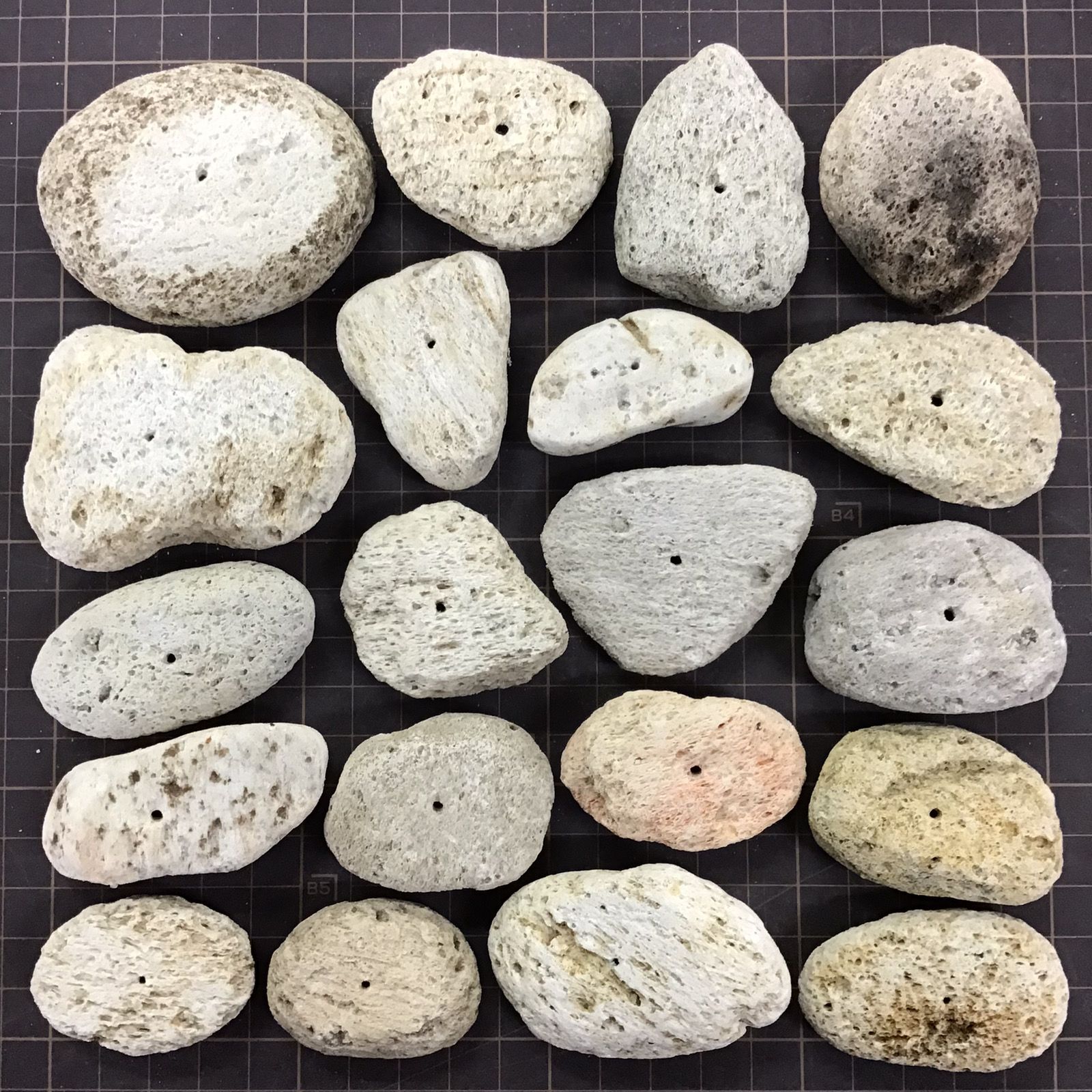 アイテラスの軽石鉢 20点セット｜軽量＆通気性抜群｜観葉植物や多肉