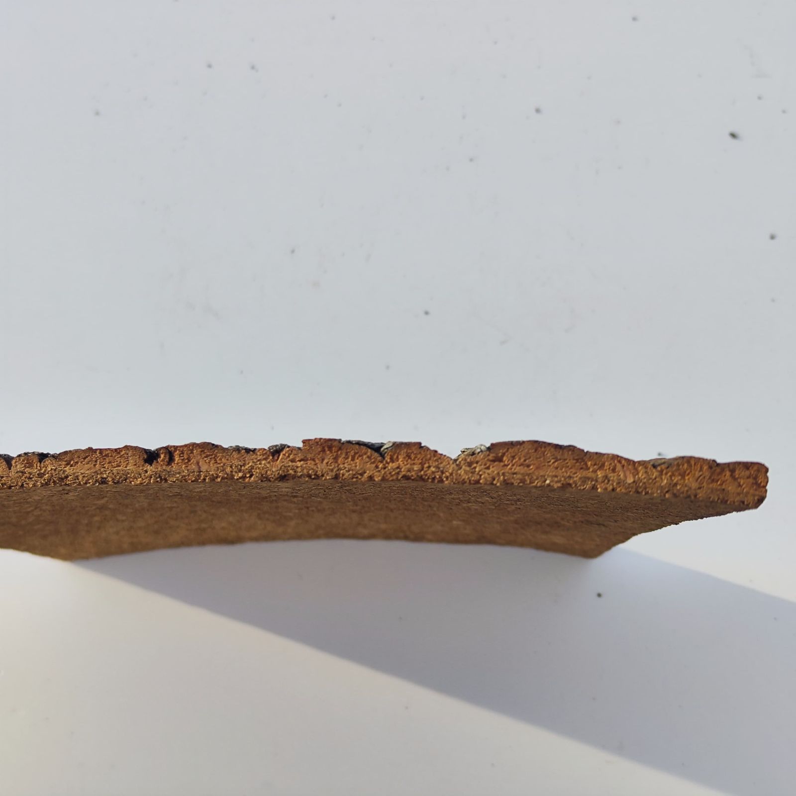 CB526 裏板付き 30×40cm コルク樹皮 コルク板 バージンコルク 穴あけ可