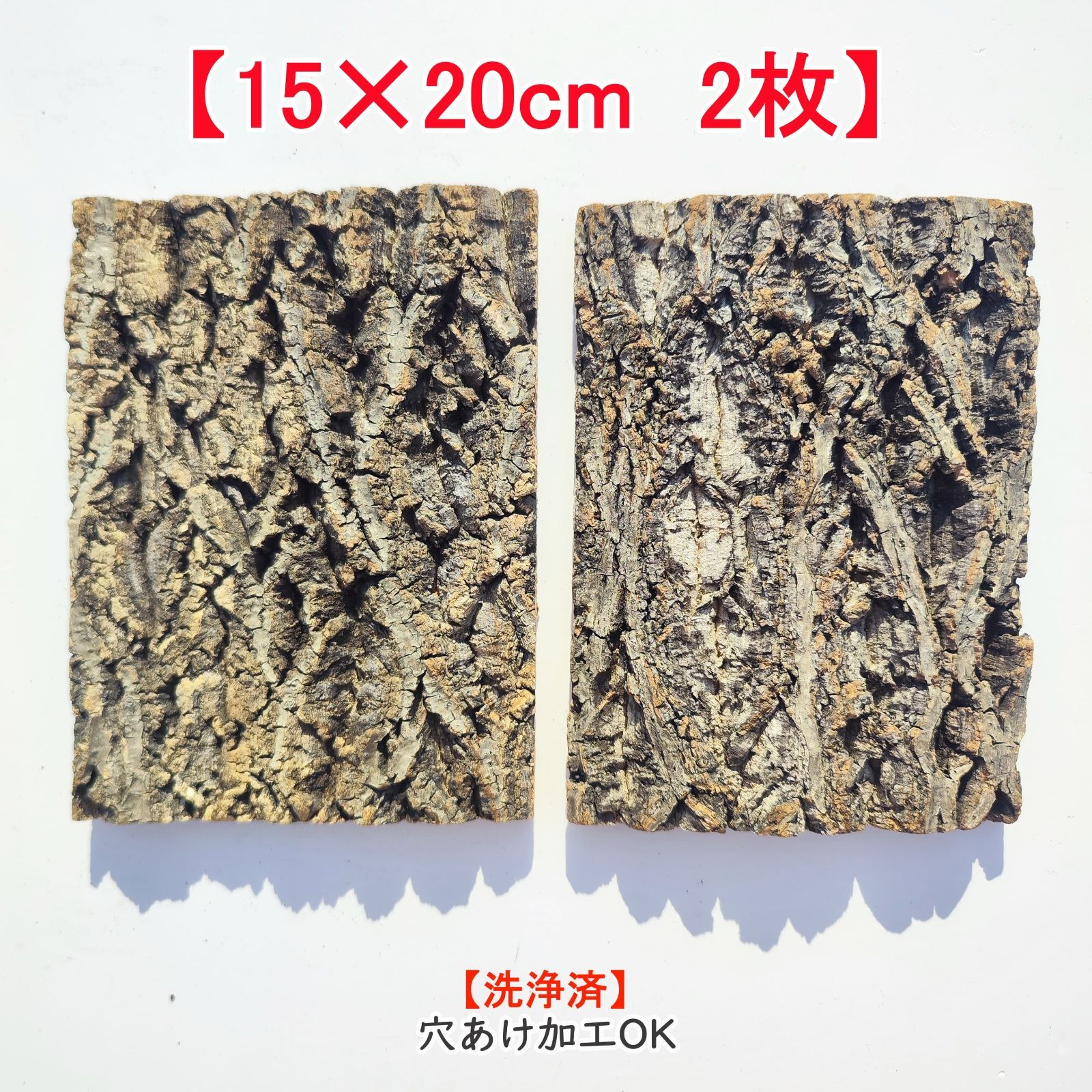 コルク樹皮　ビカク板付　６枚セット A621 ポルトガル産 高密度加工コルク板 コルク樹皮 バージンコルク