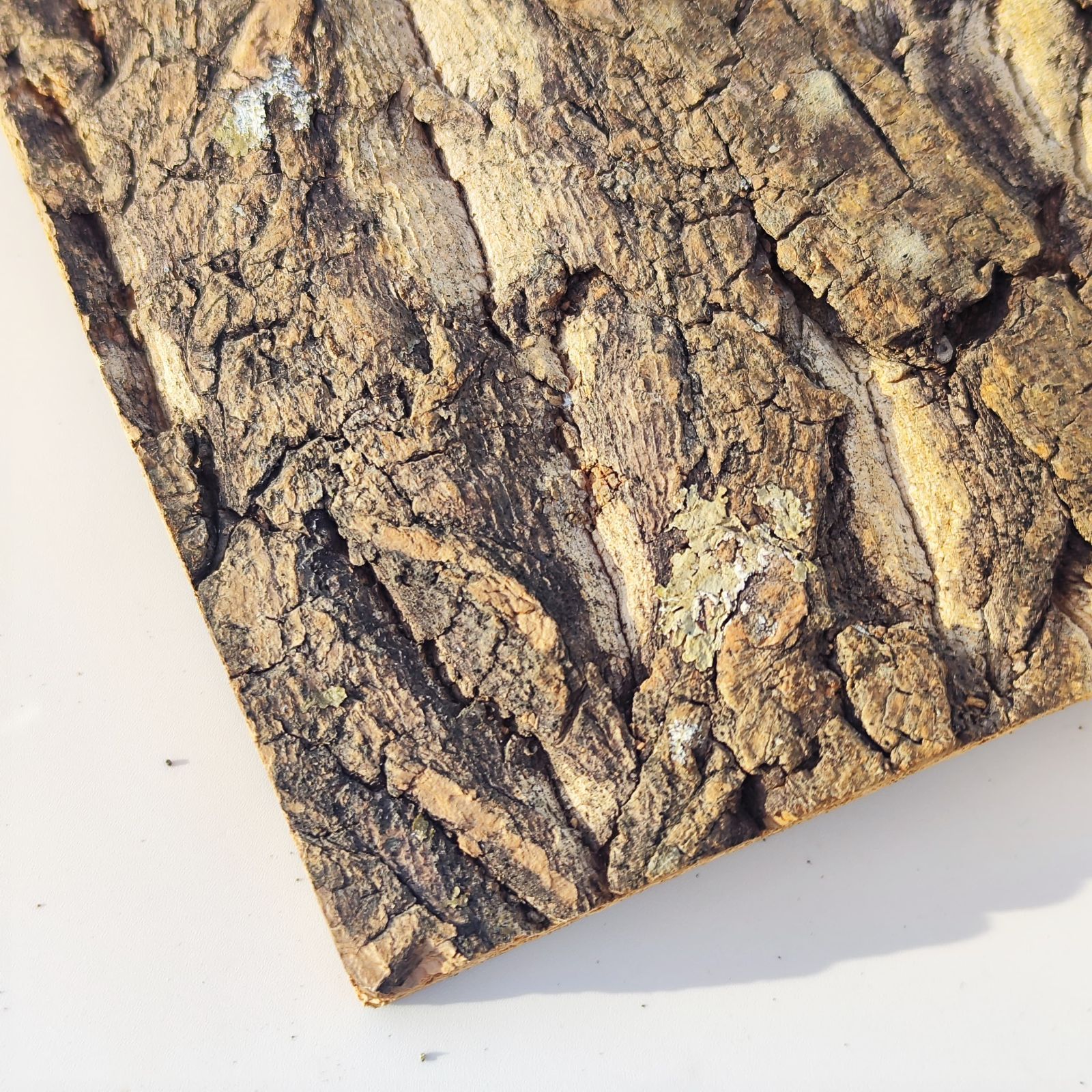 CB522 裏板付き 30×40cm コルク樹皮 コルク板 バージンコルク 穴あけ可