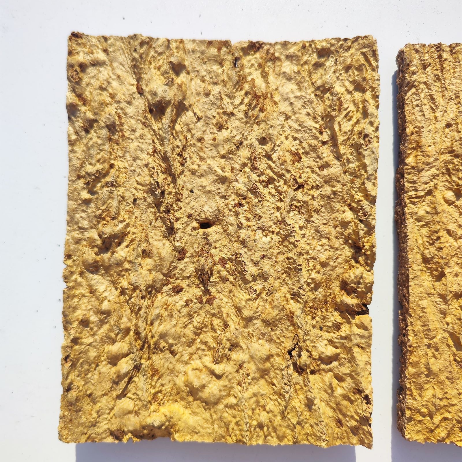 コルク樹皮　ビカク板付　６枚セット c3296 2枚セット 15×20cm コルク樹皮 コルク板 バージンコルク 送料