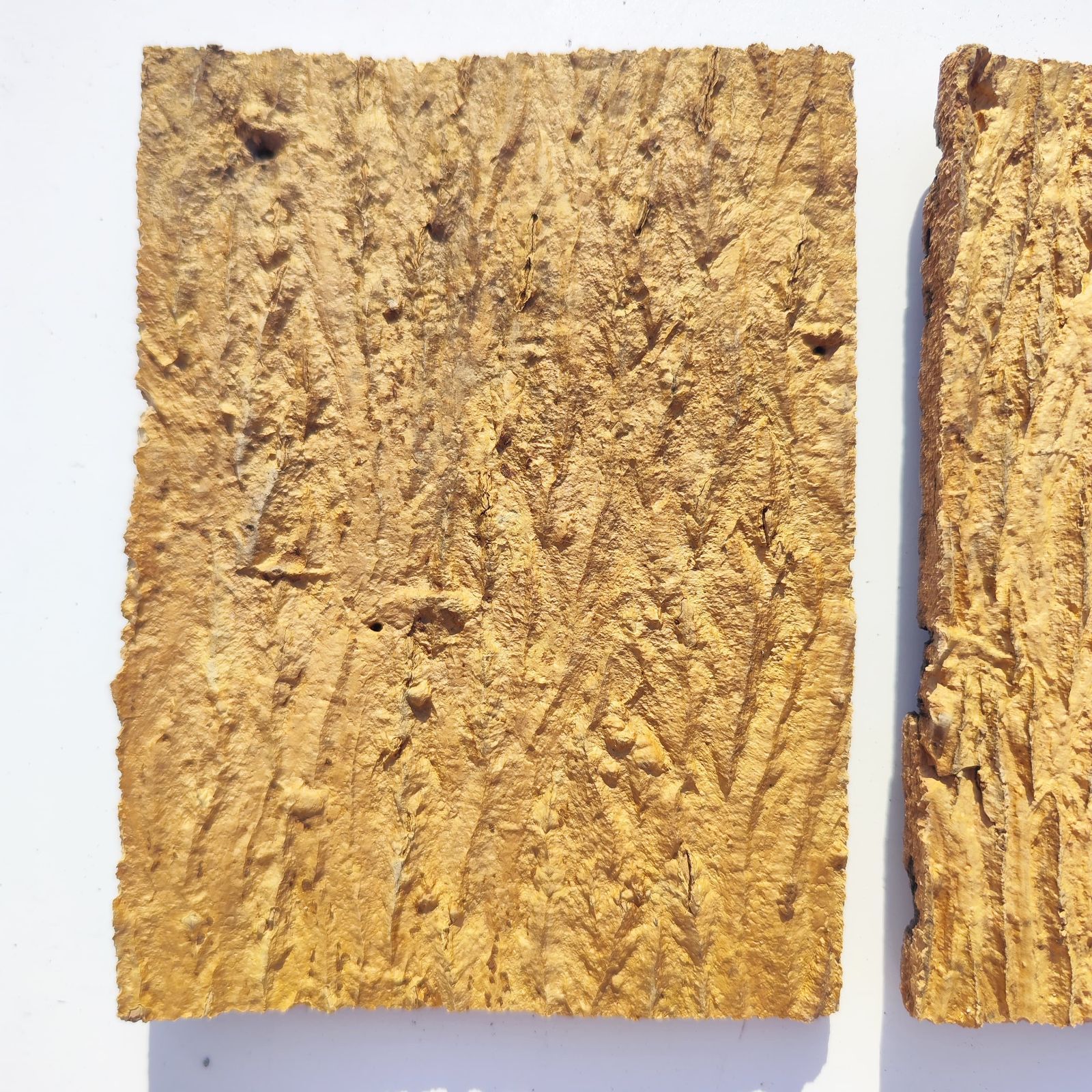c3295 2枚セット 15×20cm コルク樹皮 コルク板 バージンコルク 送料