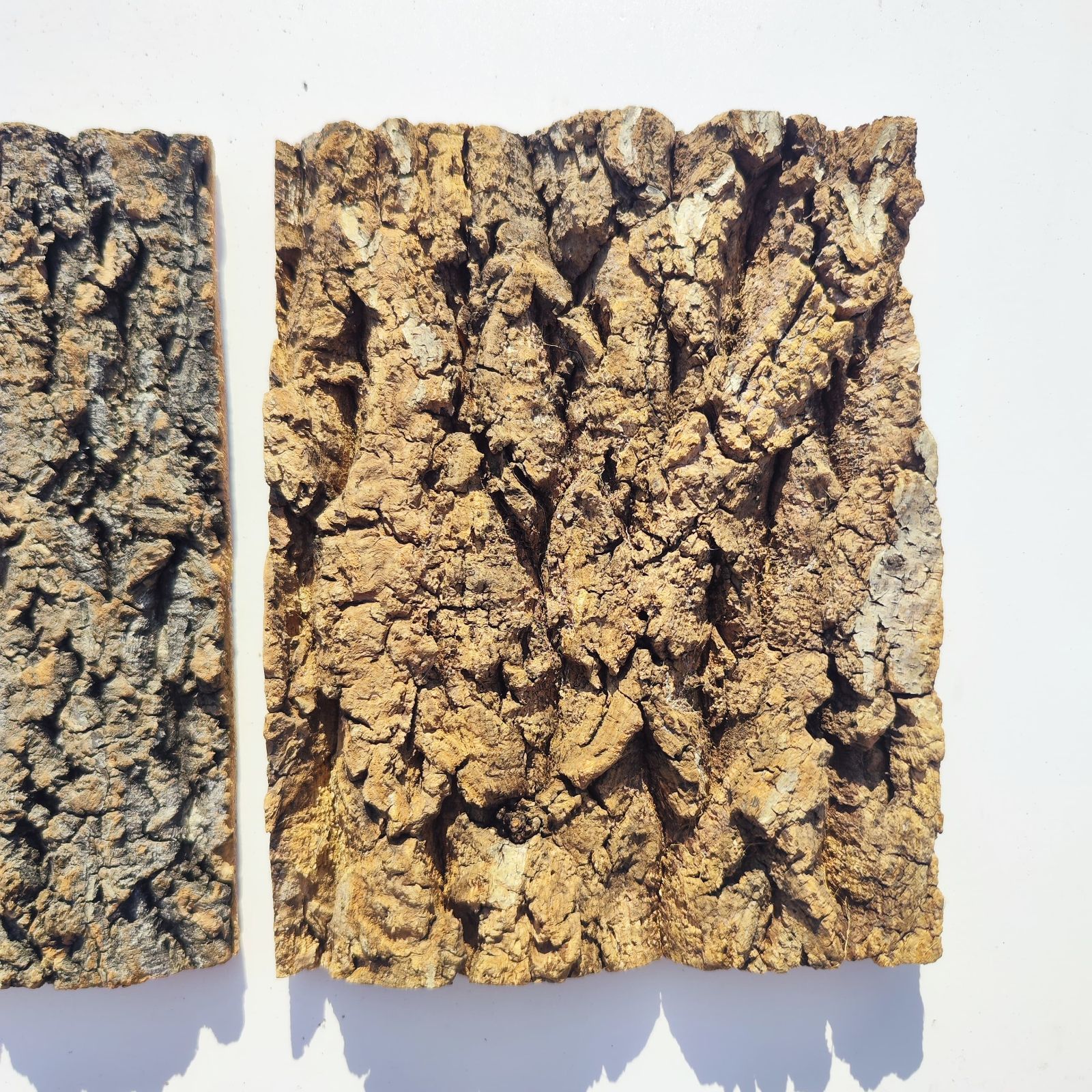 c3293 2枚セット 15×20cm コルク樹皮 コルク板 バージンコルク 送料