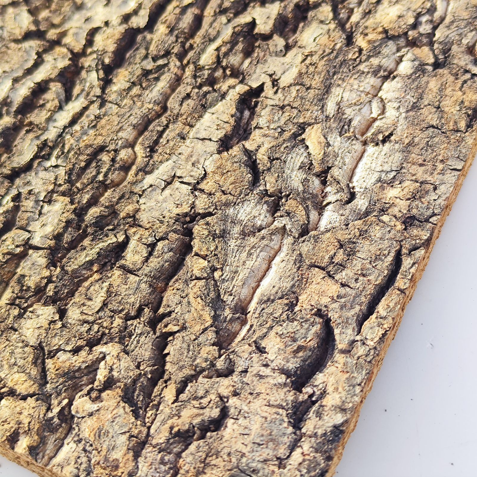 ビカクシダ アルシコルネ バージンコルク付き ビカクシダ アルシコルネ コルク壁掛け 観葉植物 その他インテリア雑貨