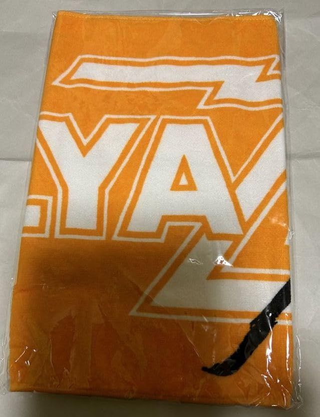 矢沢永吉（EIKICHI YAZAWA）タオル フェイスタオル(筆)オレンジ