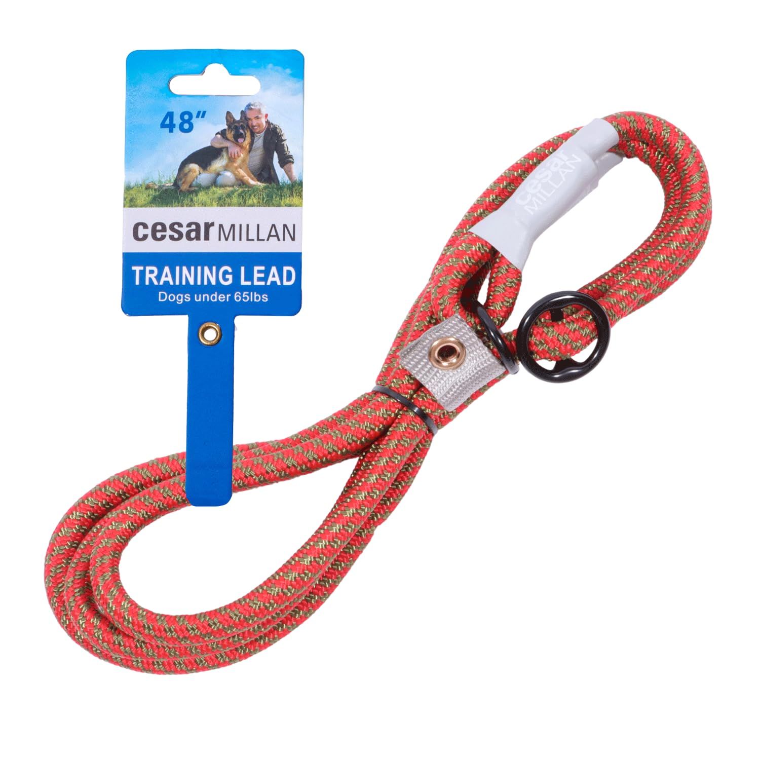 SHINee ジョンヒョン INSPIRED ソロコン 公式 トレカ