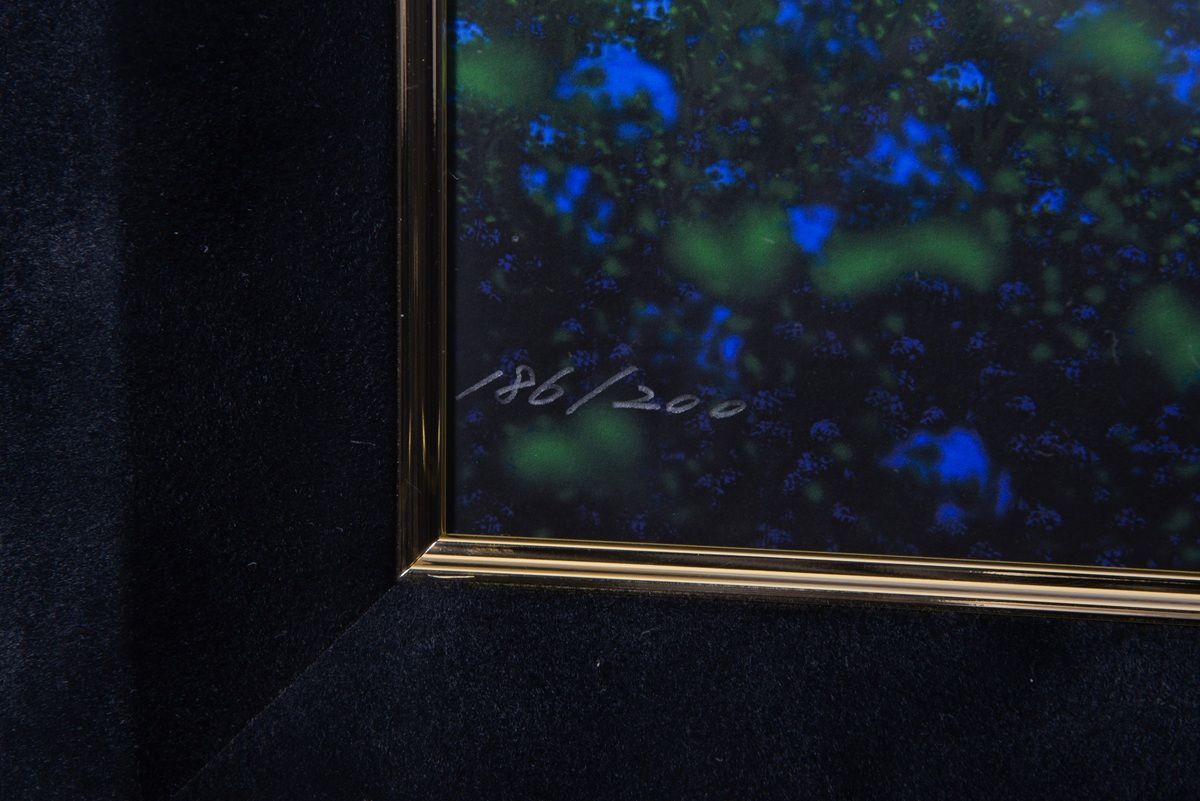 ME版 桜香微酔/mocha：アールビバン株式会社 版画 ME版 桜香微酔/mocha：アールビバン株式会社 版画