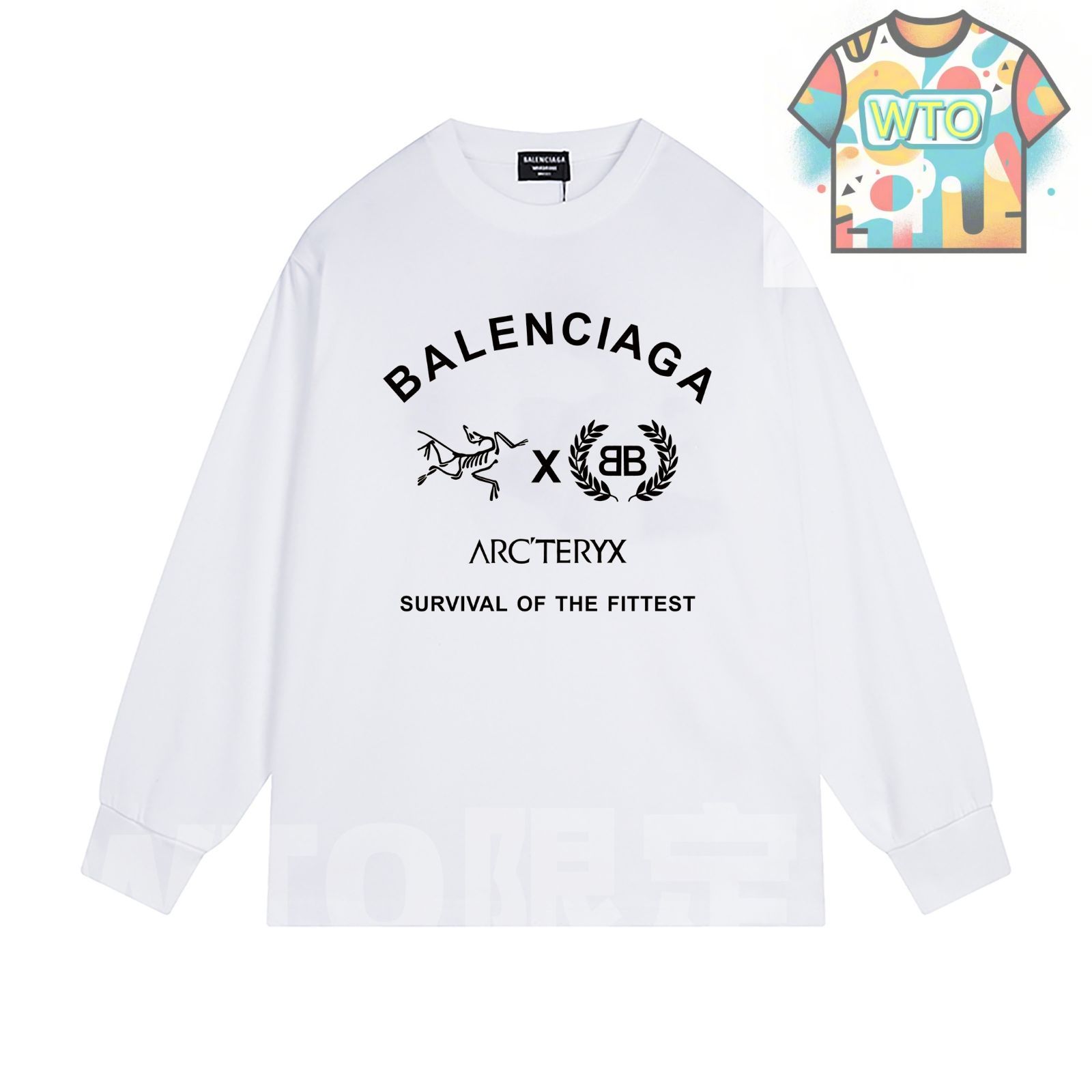 本日限定特価】Balenciaga × 始祖鳥 コラボ ロングスリーブTシャツ