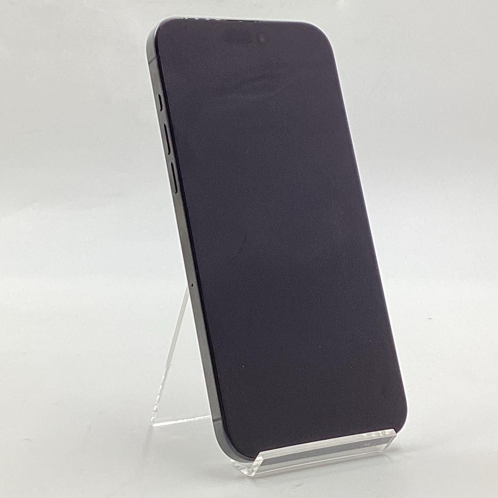 iPhone 15 Pro Max 256GB ブラックチタニウム docomo 白ロム 美品 動作