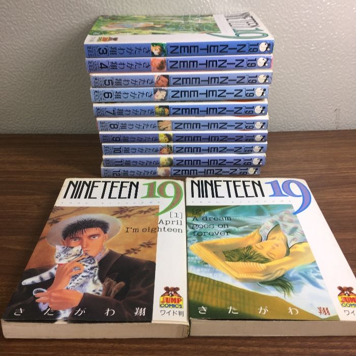 NINETEEN 19 全12巻セット きたがわ翔 全巻セット【19 NINETEEN 全12巻】◇12冊揃い きたがわ翔 集英社 1992