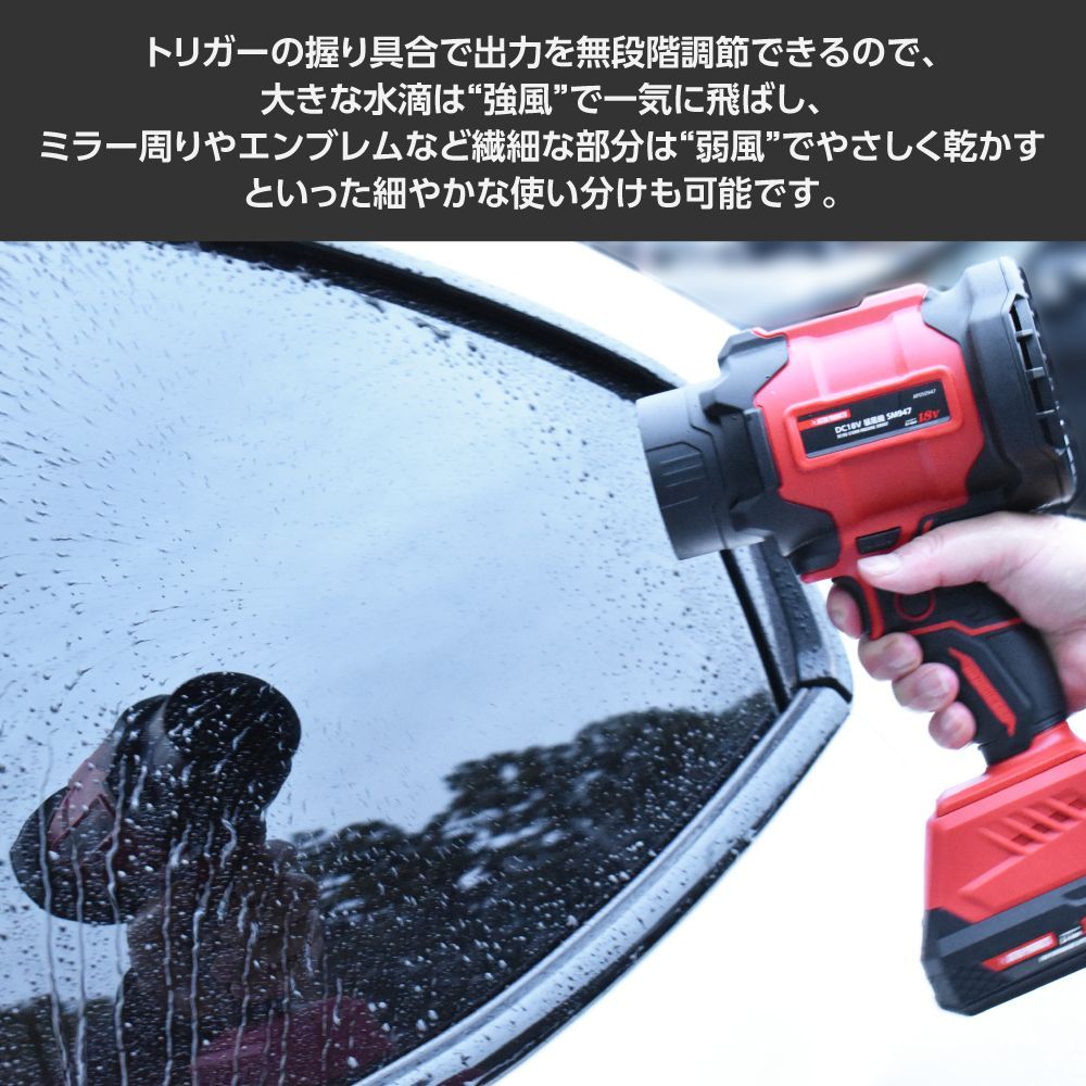 落ち葉 吹き飛ばし