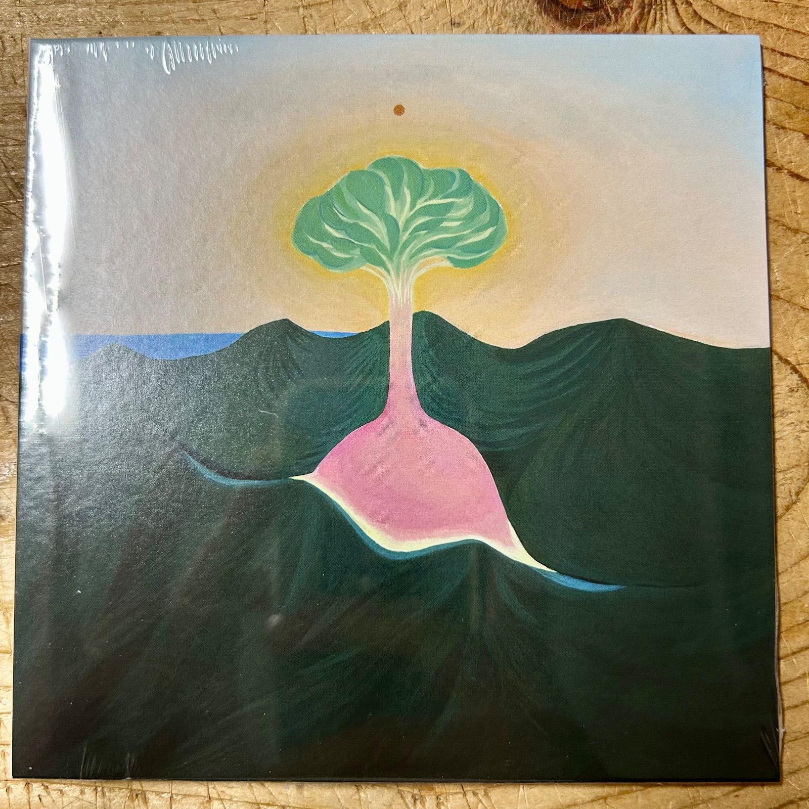 新品】EVISBEATS & Nagipan - 萃点 [CD] AMIDA STUDIO (2025) - メルカリ