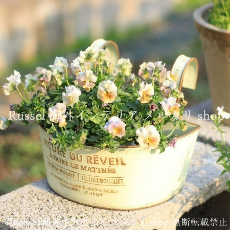 プランター 鉢植え 植木鉢 ヴィンテージ調 ブリギ エレガント フラワー