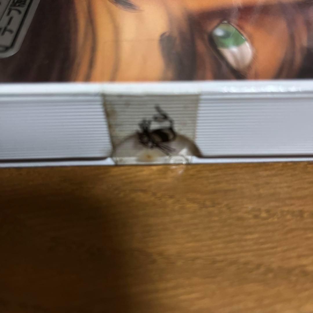 未開封品】デゼニランド ☆MSX カセットテープ☆ ＠＠ - メルカリ