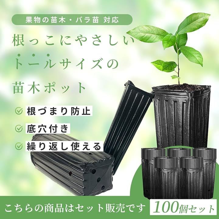 紺霞 札付きポットごとメルカリ便ファームパルクさん苗 紺霞 札付き