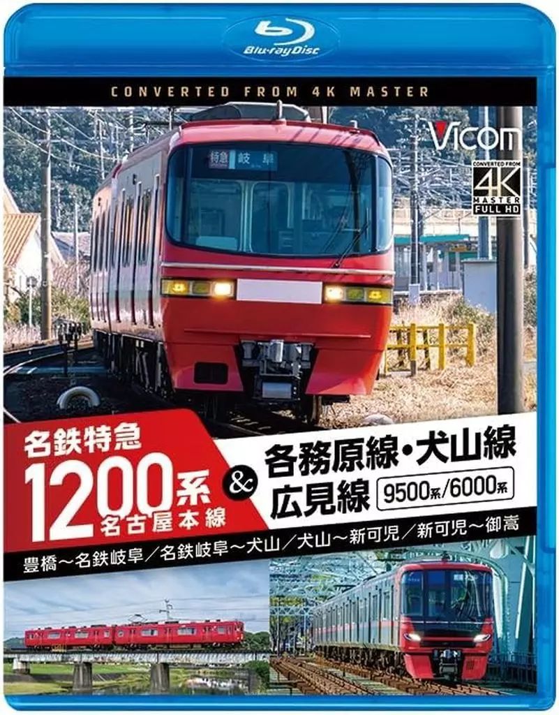 ○2枚組ビッグチップ○アメックスブラック＆ホログラムゴールド カード