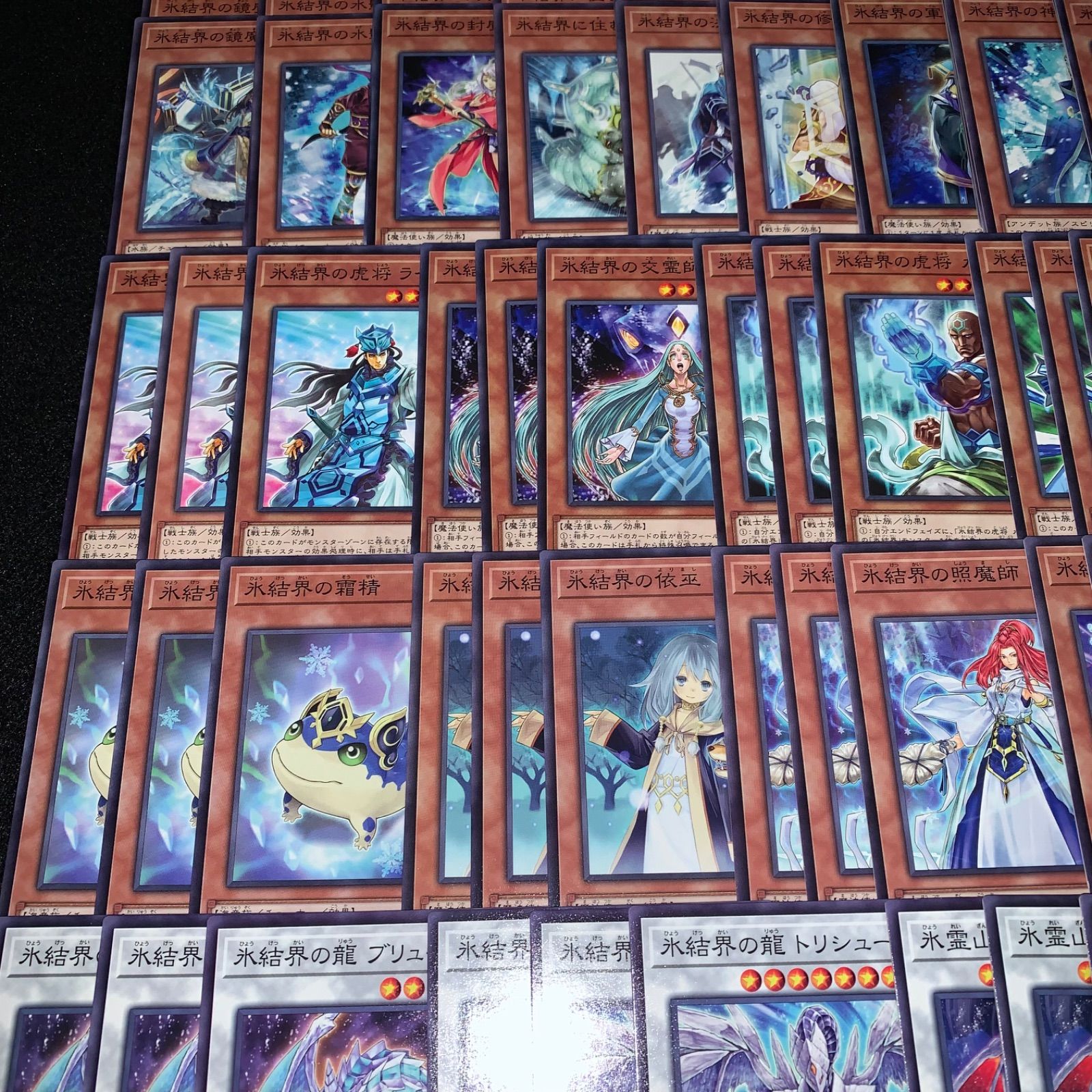 遊戯王 KYP517 氷結界デッキ DT/ターミナル デッキパーツ 氷獄龍