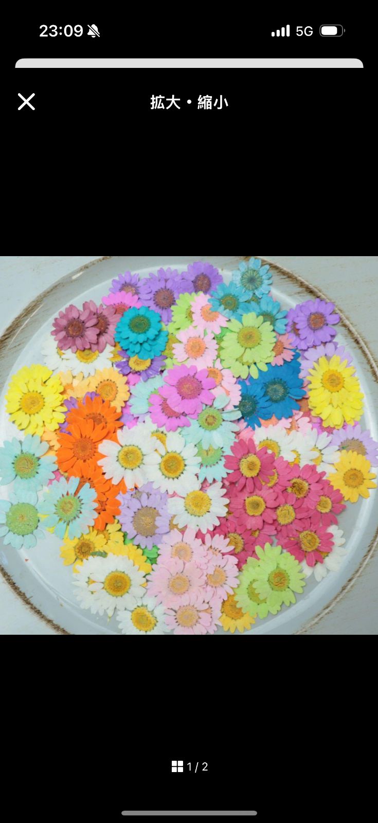 チョコ様専用ページ - メルカリ